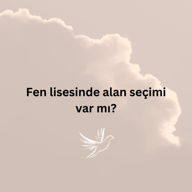 Fen lisesinde alan seçimi var mı? 1