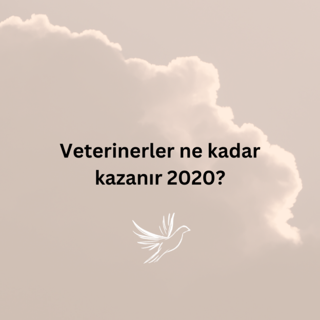 Veterinerler ne kadar kazanır 2020? 1
