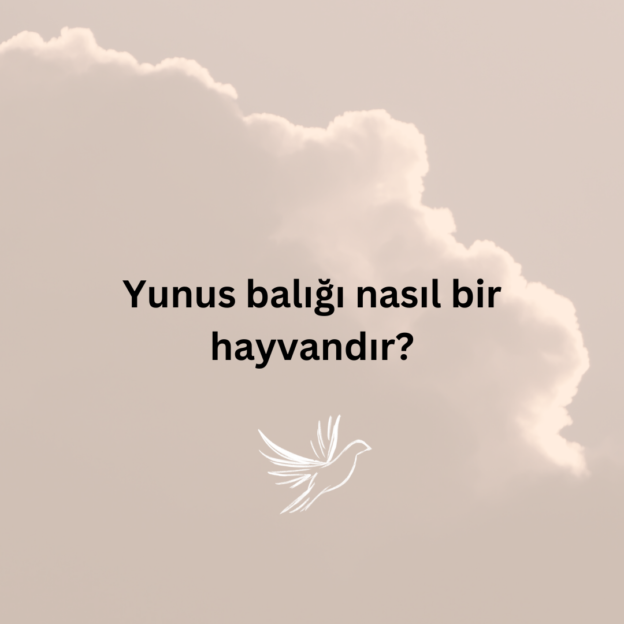 Yunus balığı nasıl bir hayvandır? 1