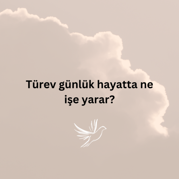 Türev günlük hayatta ne işe yarar? 1