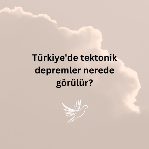 Türkiye'de tektonik depremler nerede görülür? 1