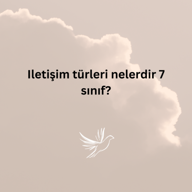 Iletişim türleri nelerdir 7 sınıf? 1