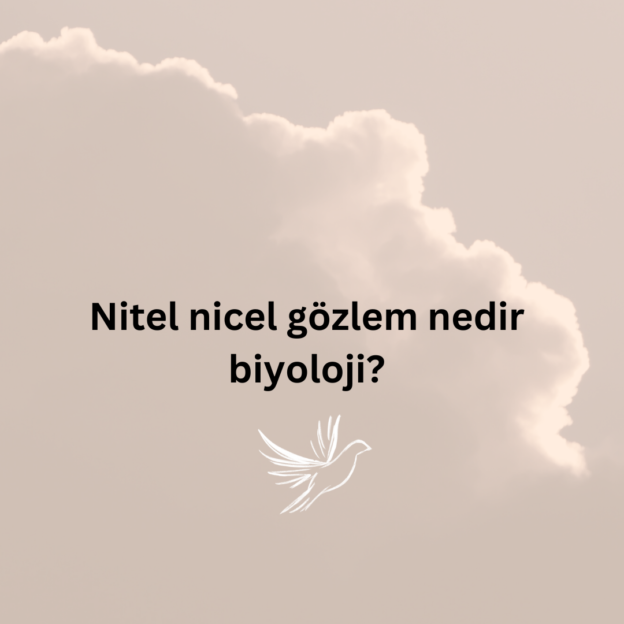 Nitel nicel gözlem nedir biyoloji? 1