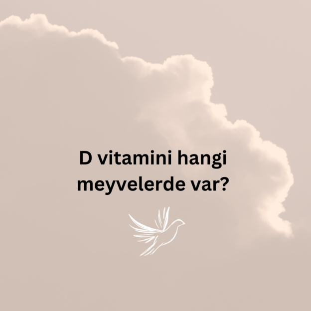 D vitamini hangi meyvelerde var? 1
