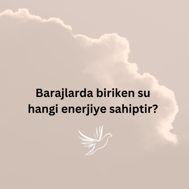 Barajlarda biriken su hangi enerjiye sahiptir? 1
