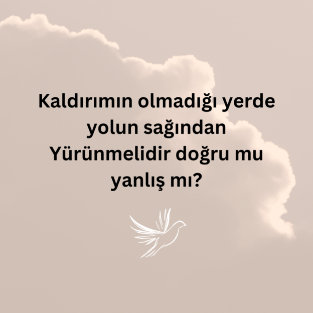 Kaldırımın olmadığı yerde yolun sağından Yürünmelidir doğru mu yanlış mı? 1