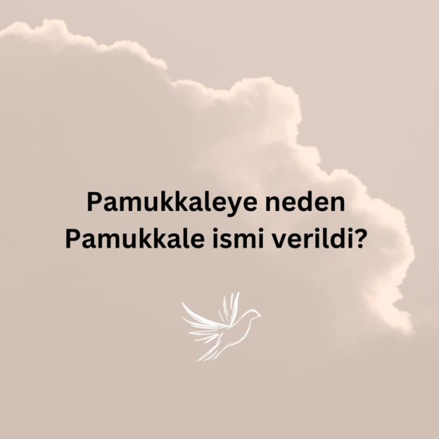 Pamukkaleye neden Pamukkale ismi verildi? 1
