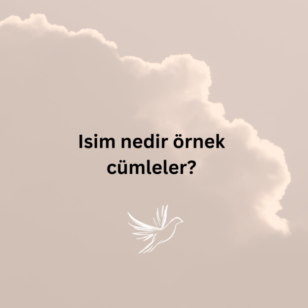 Isim nedir örnek cümleler? 1