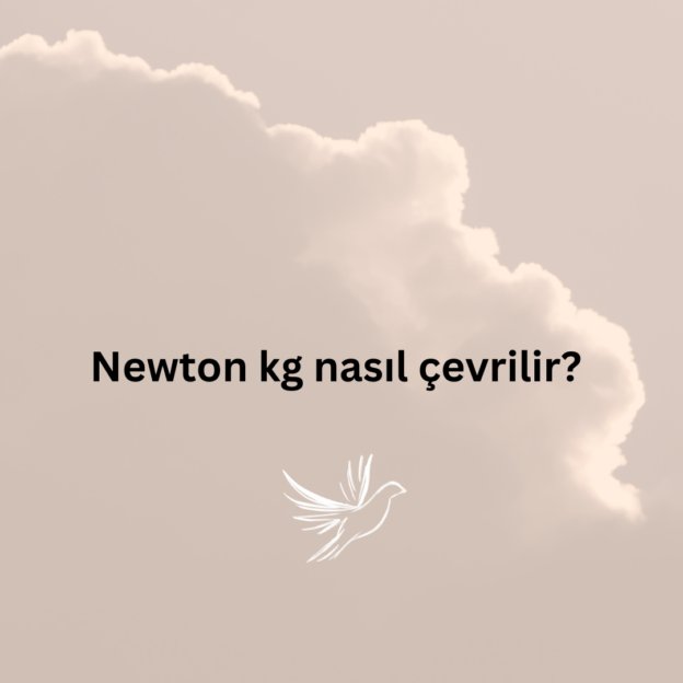 Newton kg nasıl çevrilir? 1