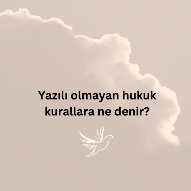 Yazılı olmayan hukuk kurallara ne denir? 10