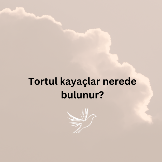 Tortul kayaçlar nerede bulunur? 5