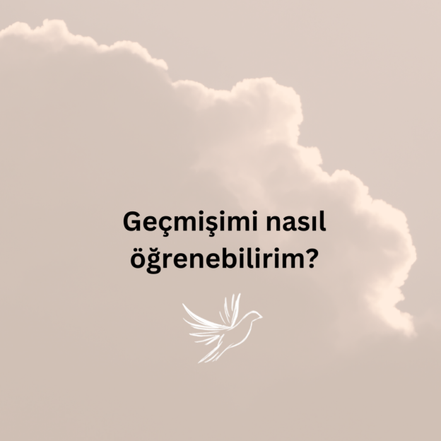 Geçmişimi nasıl öğrenebilirim? 1