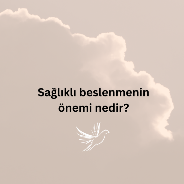 Sağlıklı beslenmenin önemi nedir? 3