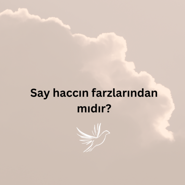 Sa y haccın farzlarından mıdır? 1