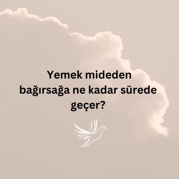 Yemek mideden bağırsağa ne kadar sürede geçer? 1