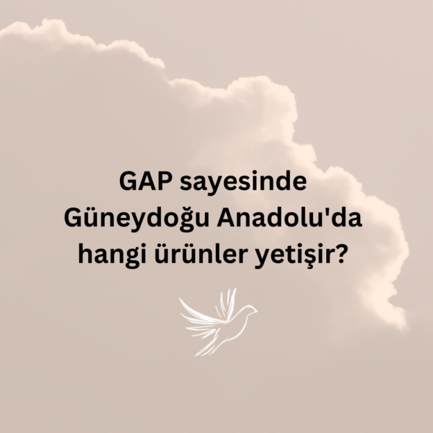 GAP sayesinde Güneydoğu Anadolu'da hangi ürünler yetişir? 1