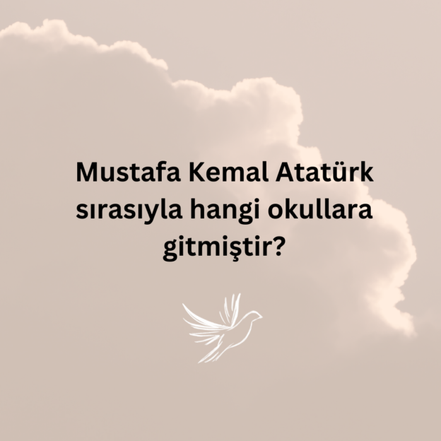 Mustafa Kemal Atatürk sırasıyla hangi okullara gitmiştir? 1