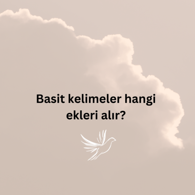 Basit kelimeler hangi ekleri alır? 1