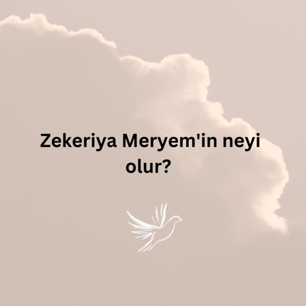 Zekeriya Meryem'in neyi olur? 1
