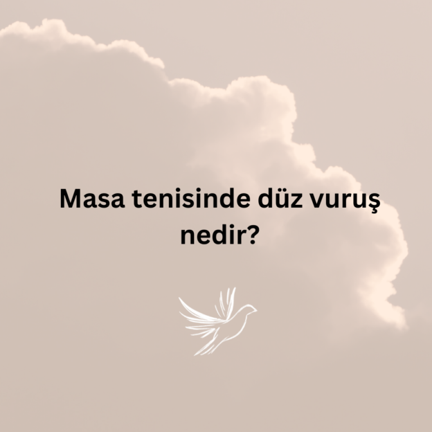 Masa tenisinde düz vuruş nedir? 1