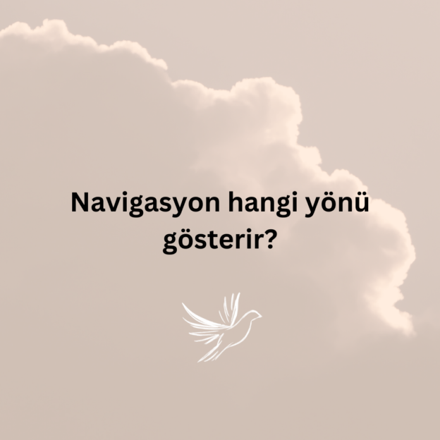 Navigasyon hangi yönü gösterir? 1