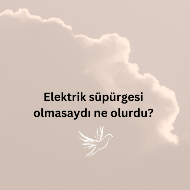 Elektrik süpürgesi olmasaydı ne olurdu? 10