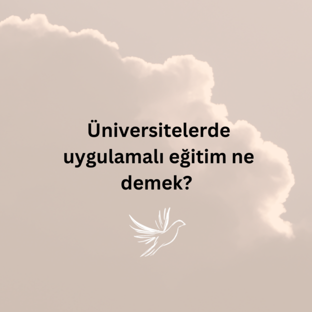 Üniversitelerde uygulamalı eğitim ne demek? 9