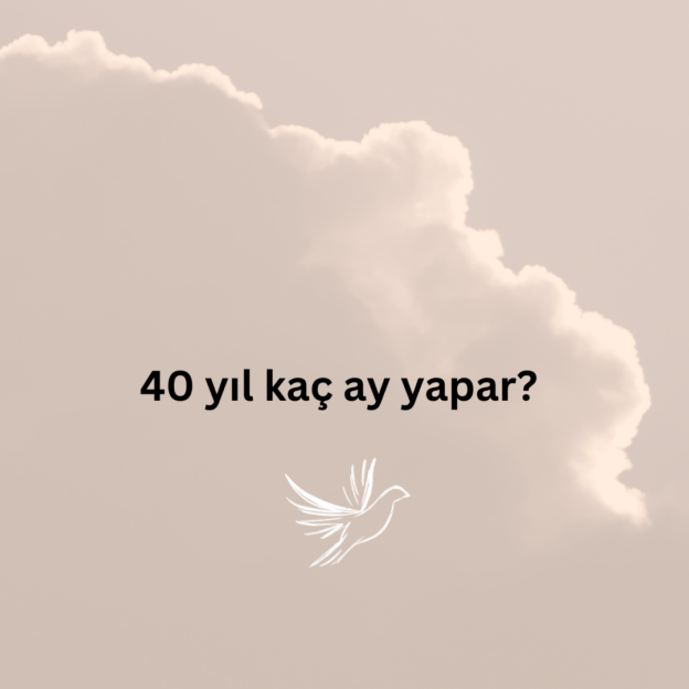 40 yıl kaç ay yapar? 8