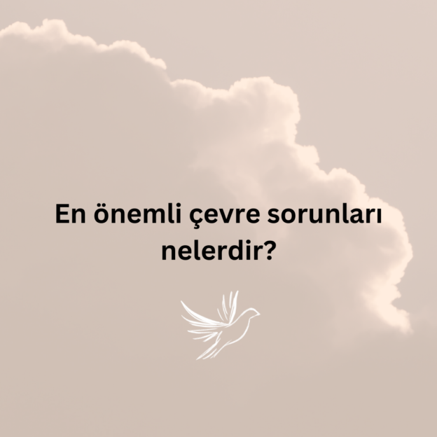 En önemli çevre sorunları nelerdir? 4