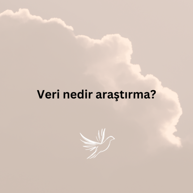 Veri nedir araştırma? 2