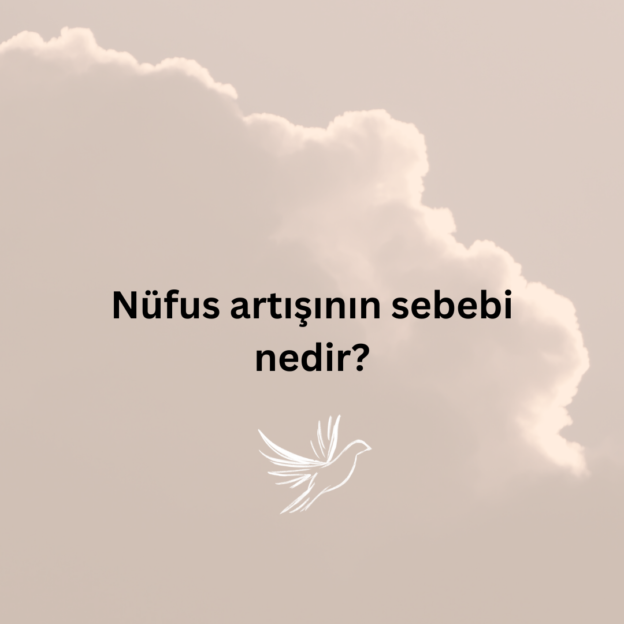 Nüfus artışının sebebi nedir? 1