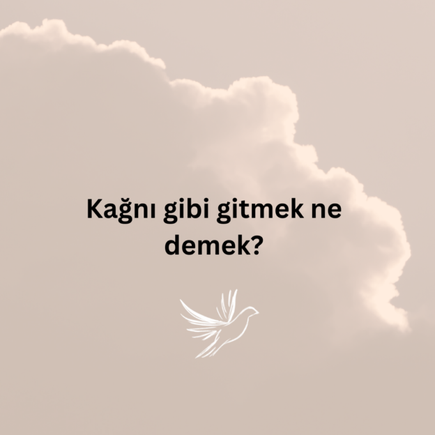 Kağnı gibi gitmek ne demek? 1