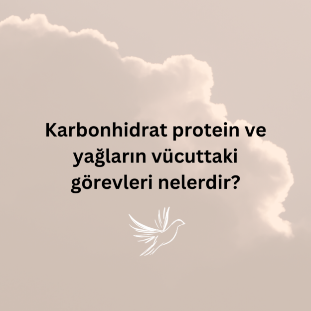 Karbonhidrat protein ve yağların vücuttaki görevleri nelerdir? 1