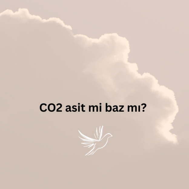 CO2 asit mi baz mı? 10