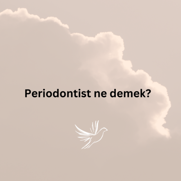 Periodontist ne demek? 8