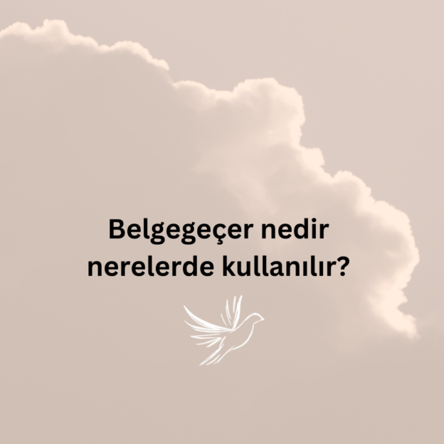 Belgegeçer nedir nerelerde kullanılır? 1