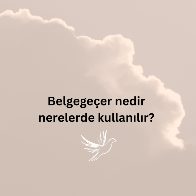 Belgegeçer nedir nerelerde kullanılır? 6