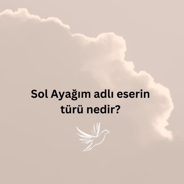 Sol Ayağım adlı eserin türü nedir? 8