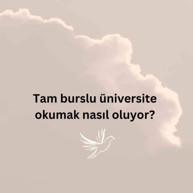 Tam burslu üniversite okumak nasıl oluyor? 7