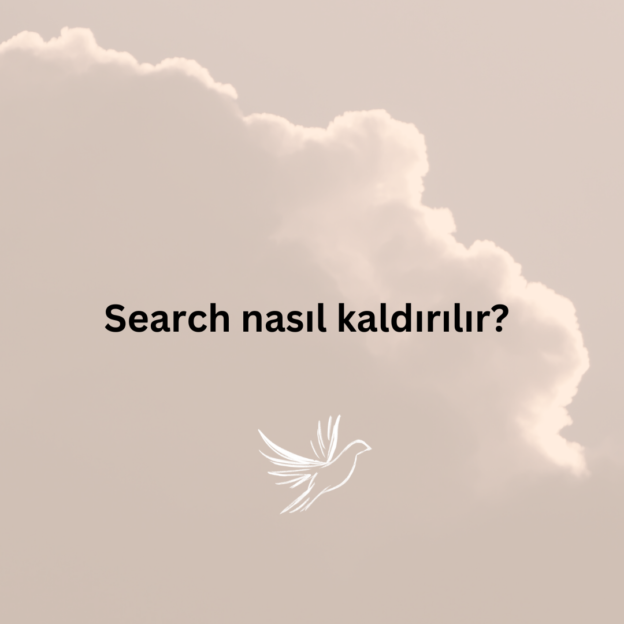 Search nasıl kaldırılır? 6