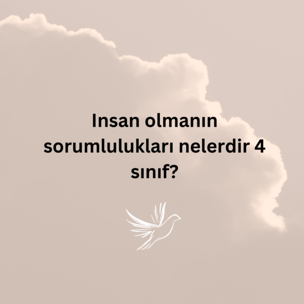 Insan olmanın sorumlulukları nelerdir 4 sınıf? 4