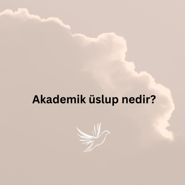 Akademik üslup nedir? 3