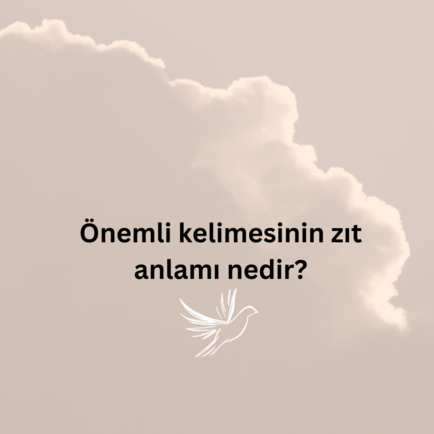 Önemli kelimesinin zıt anlamı nedir? 1