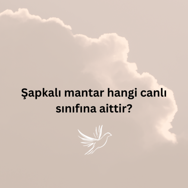 Şapkalı mantar hangi canlı sınıfına aittir? 1