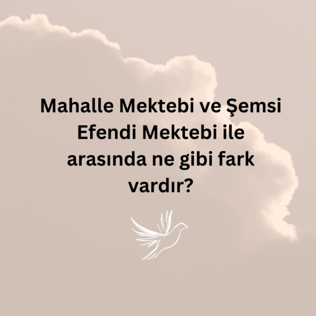 Mahalle Mektebi ve Şemsi Efendi Mektebi ile arasında ne gibi fark vardır? 1