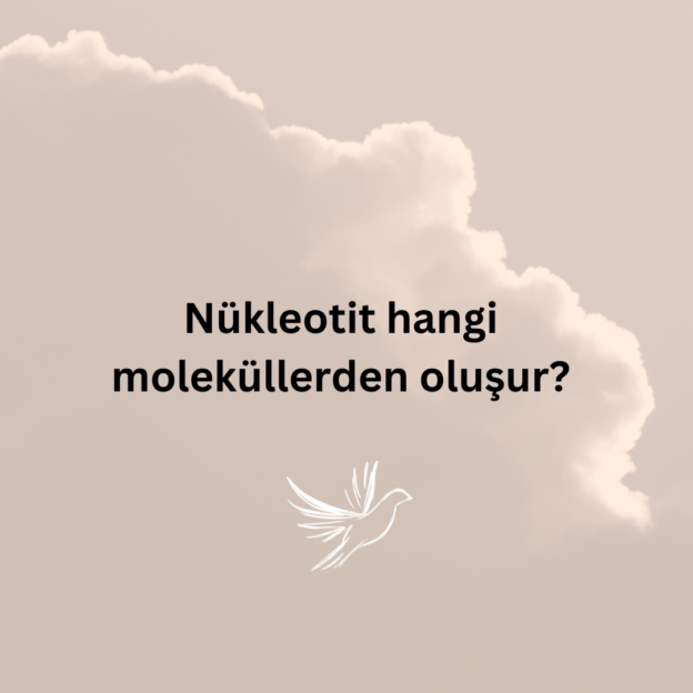 Nükleotit hangi moleküllerden oluşur? 9