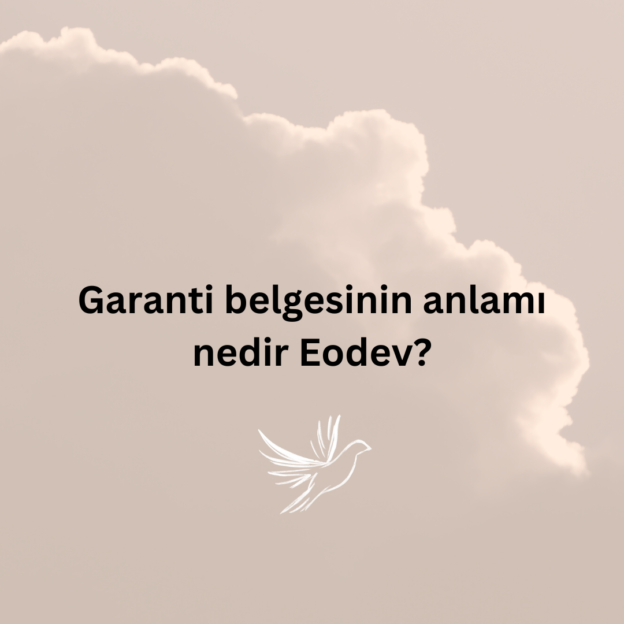 Garanti belgesinin anlamı nedir Eodev? 1