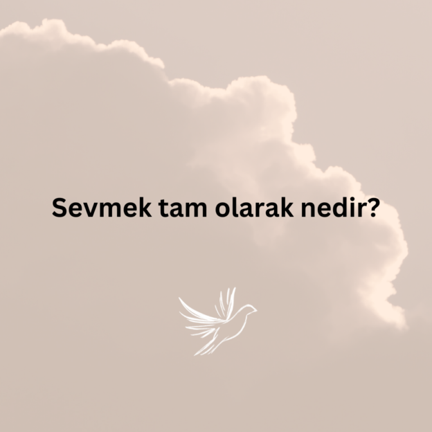 Sevmek tam olarak nedir? 5