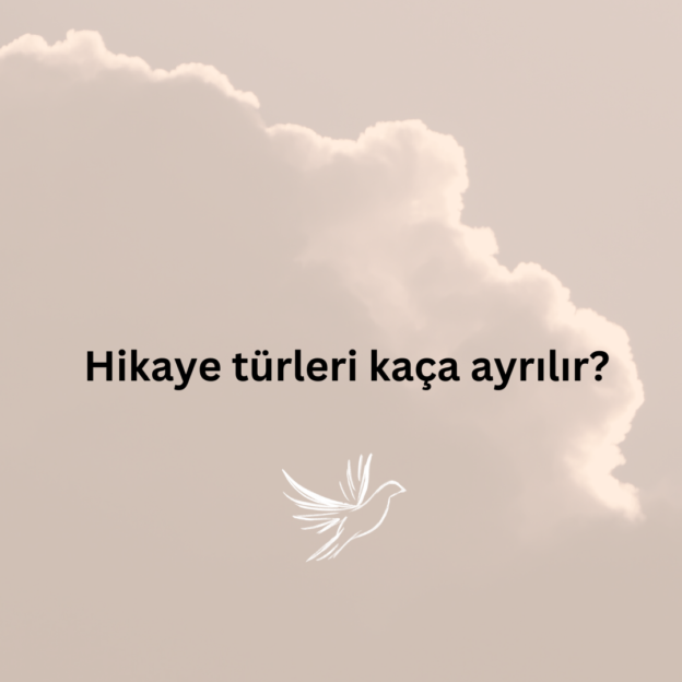 Hikaye türleri kaça ayrılır? 1