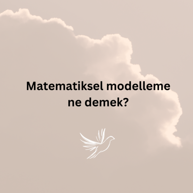Matematiksel modelleme ne demek? 1